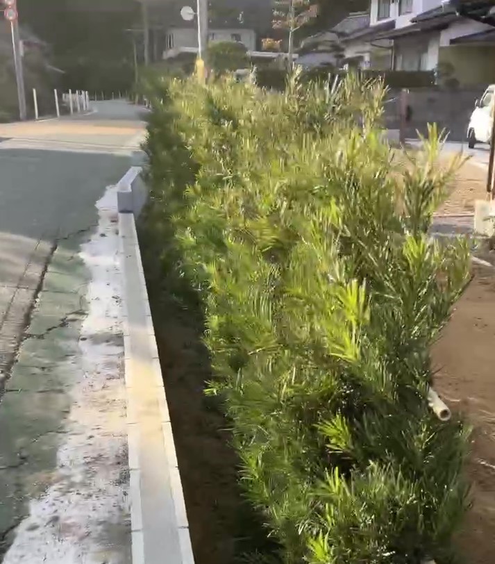 草刈り④