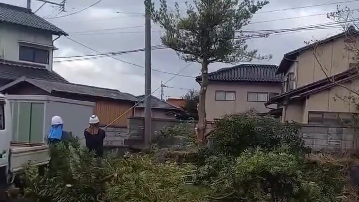 伐採・高木⑥