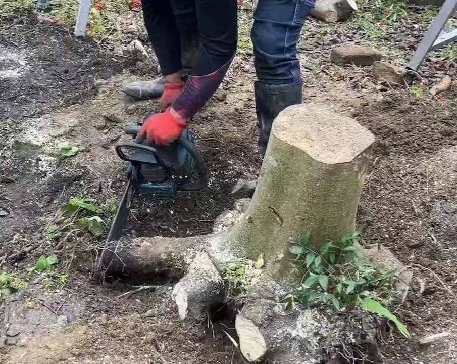草刈り⑤